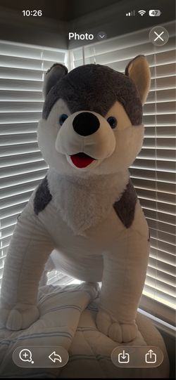Stuffed animal