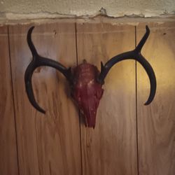 Metal Deers & Buck. Antlers 