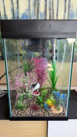 Fish tank aquarium