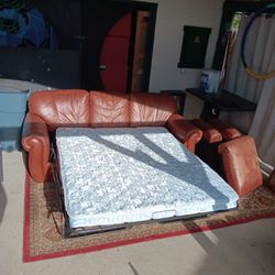 Leather Sleeper Sofa