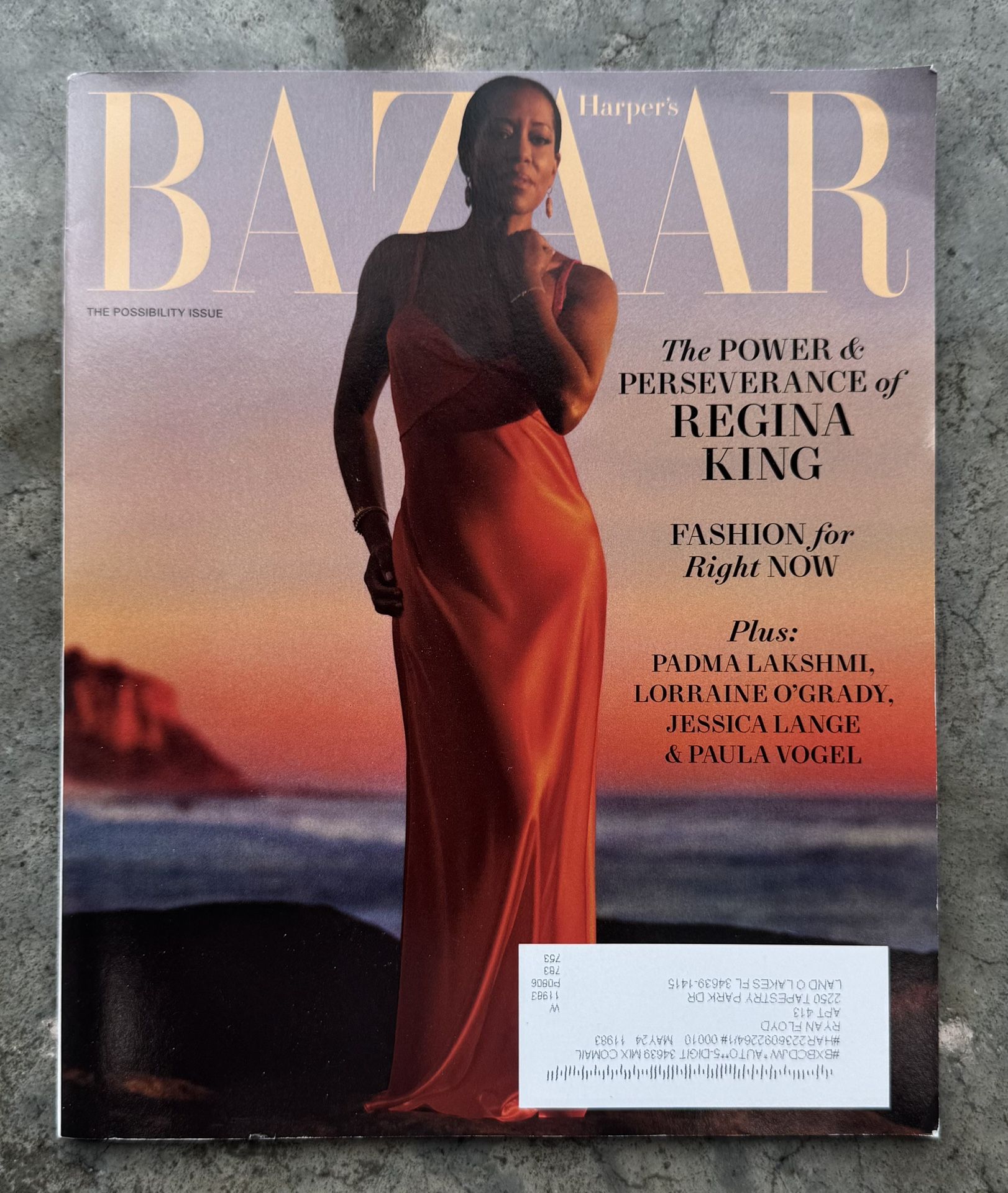 Harper's Bazaar Magazine April 2024 Regina King The Possibility Issue