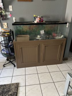 50 Gal Fish Tank