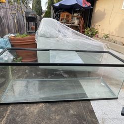 50-60 Gallon Fish Tank