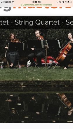 Trio quarteto o mariachi