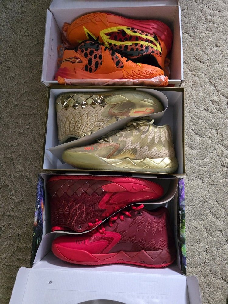 Pumas