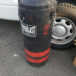 Punching Bag