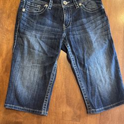 Woman’s Silver Suki Shorts Shipping Available 