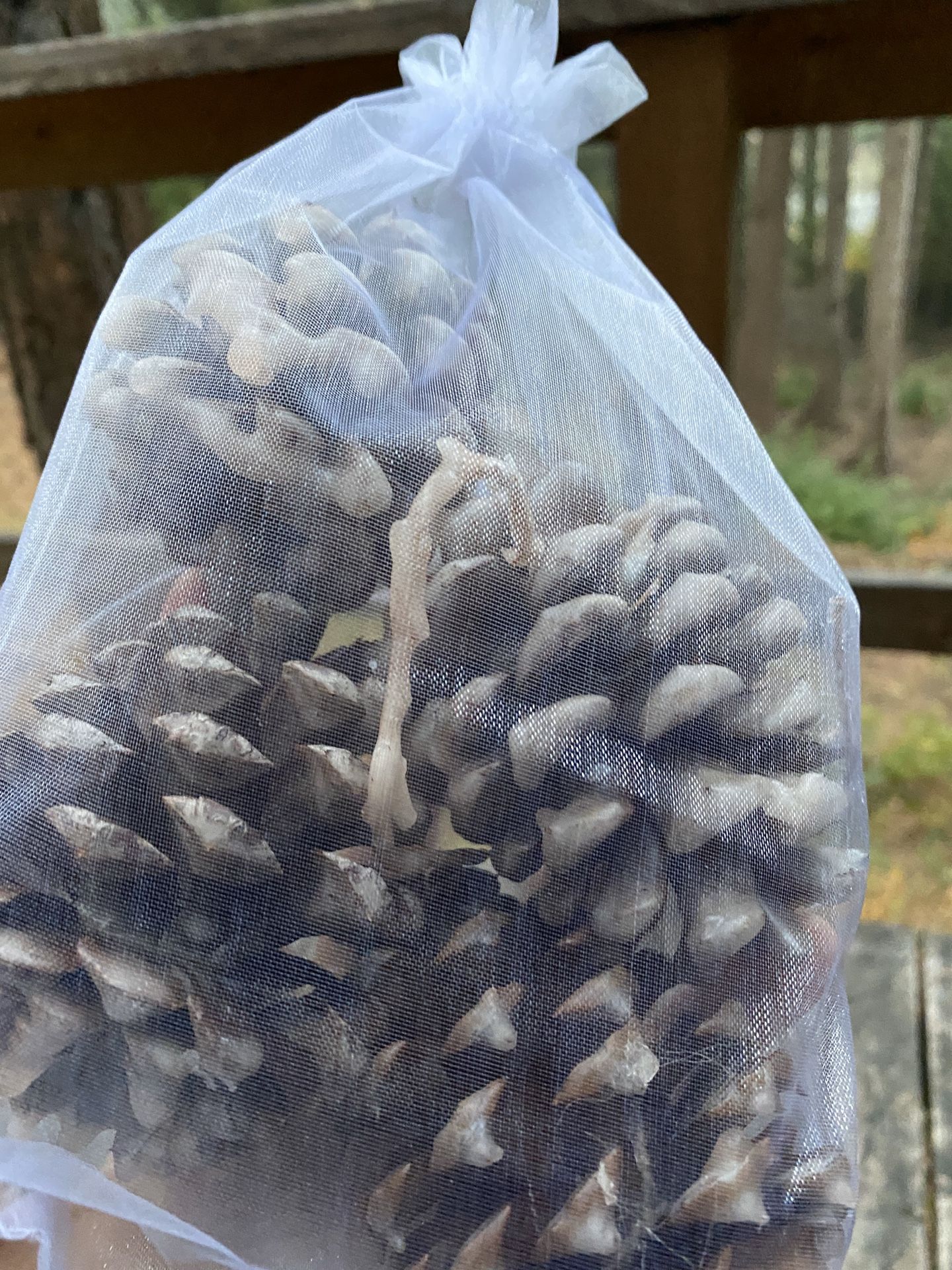 Cinnamon Decorative Pinecones