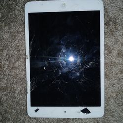 Old Ipad