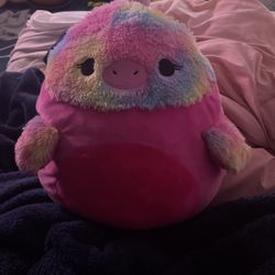 Squishmallow 