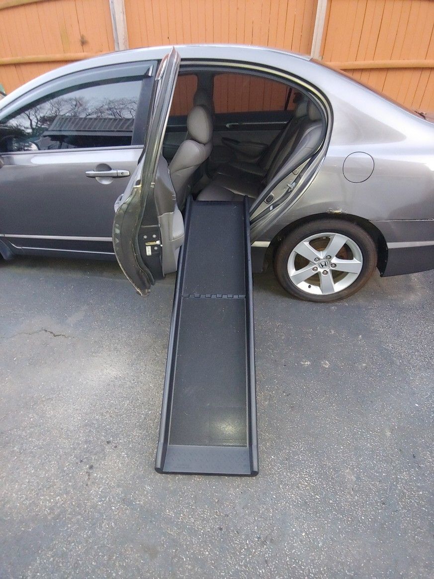 Folding Dog Ramp
