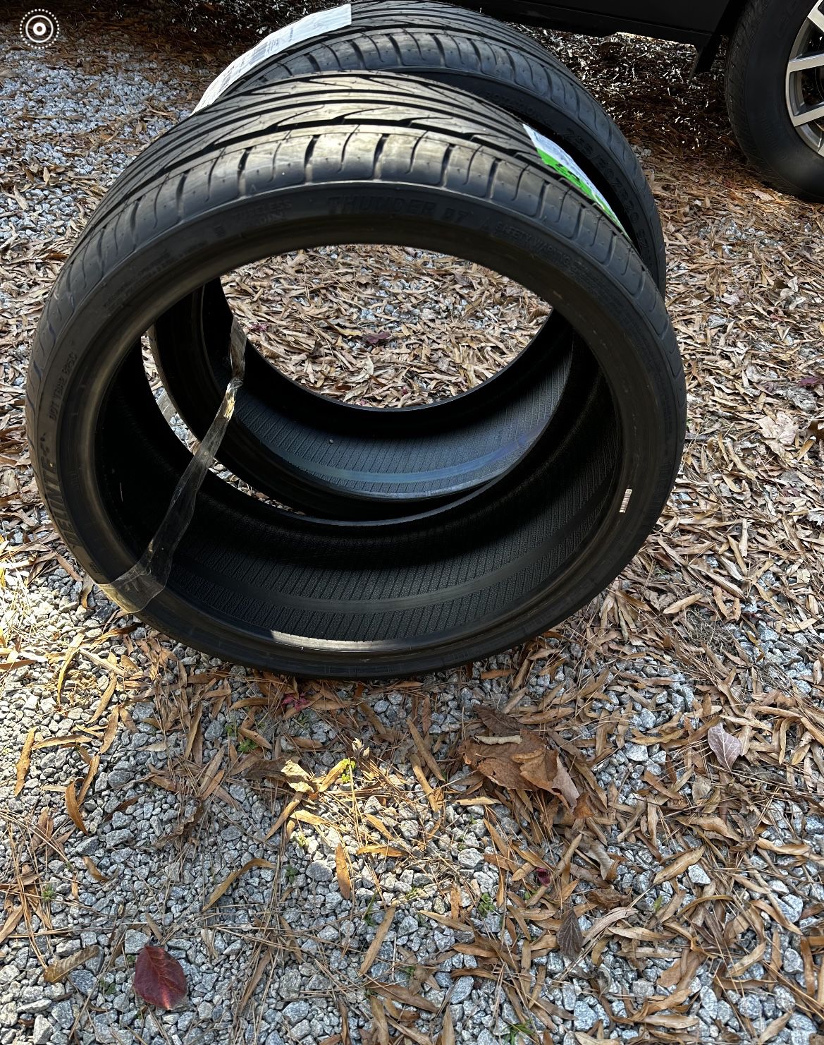 20 Inch  Delinte Tires 