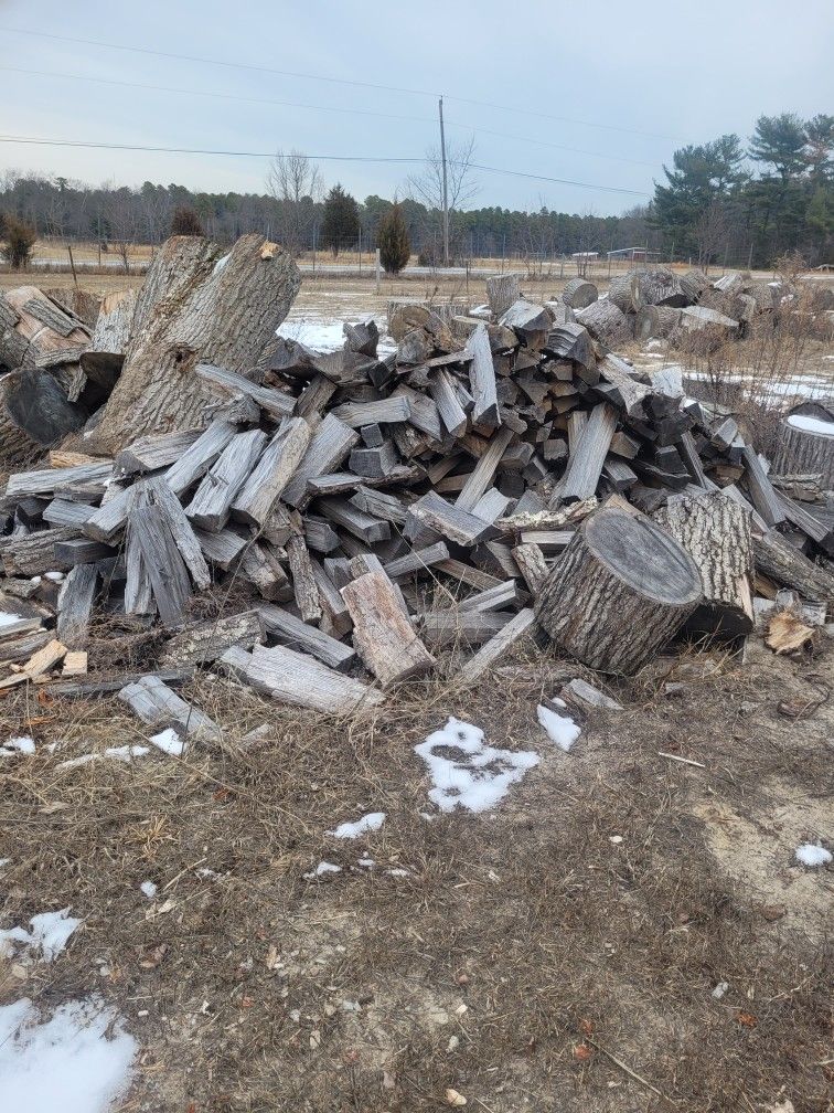 Firewood Seasoned
