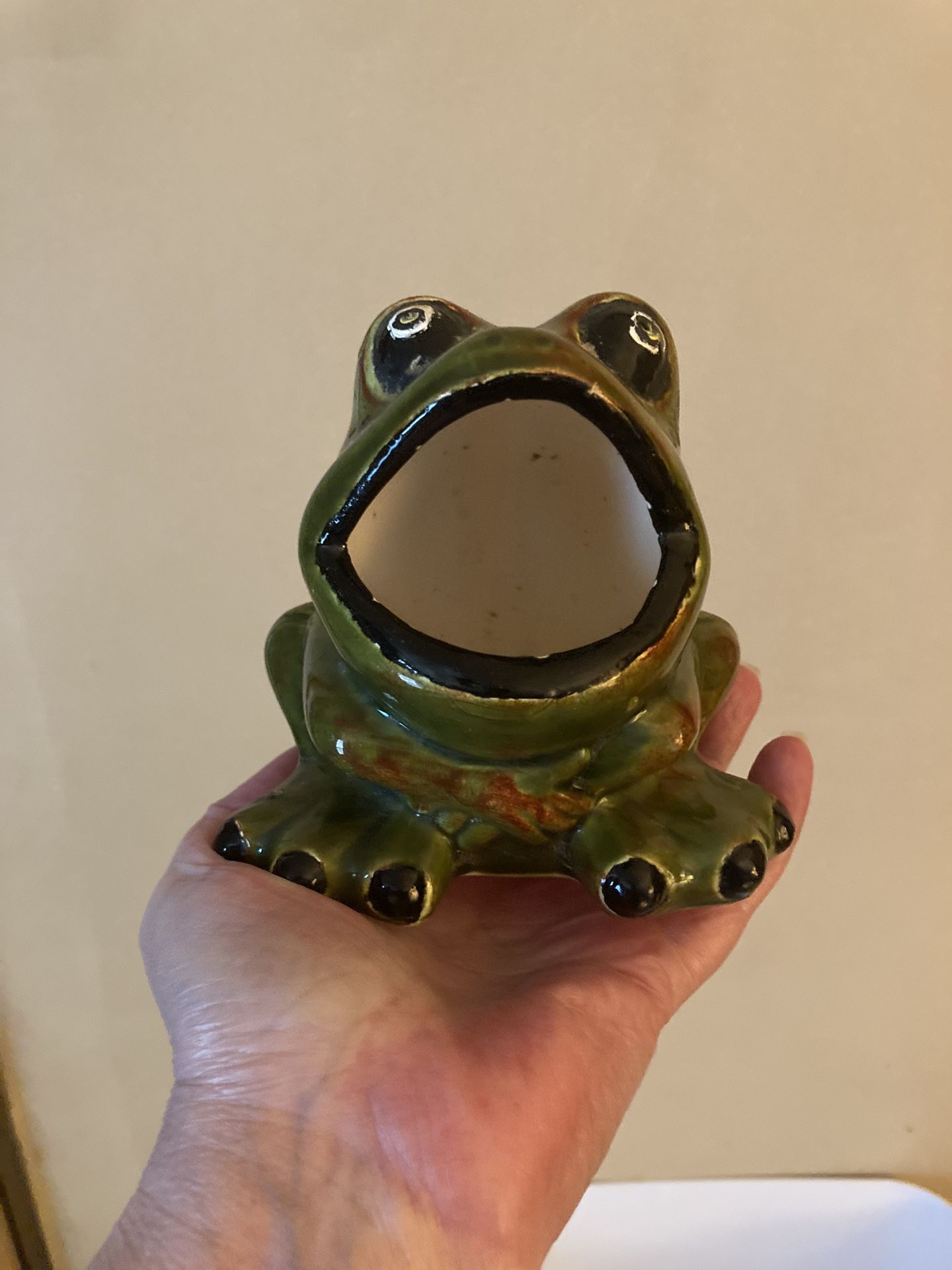 Vintage Ceramic Frog Sponge Holder