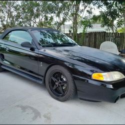 95 Svt Cobra 