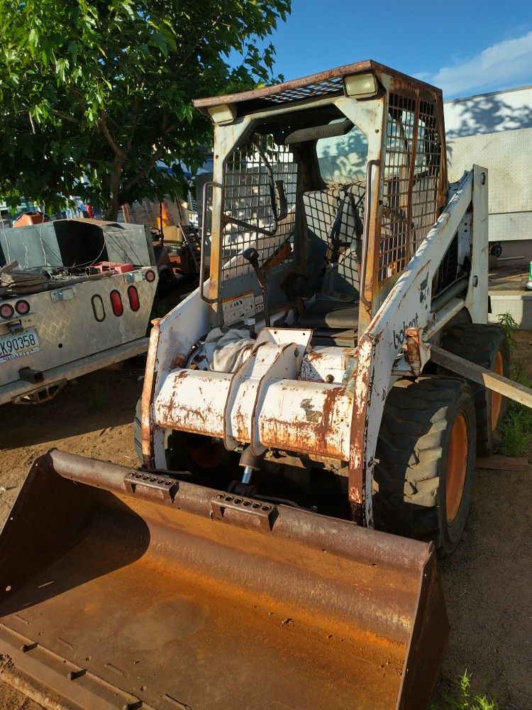 753 Bobcat