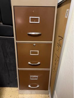 Filing cabinet and paper organizer