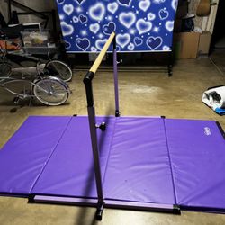 Nimble Gym Matt And Bar 