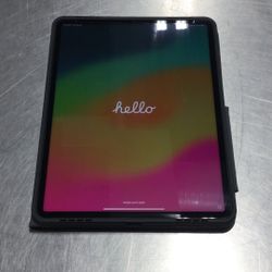 iPad Pro 12.9” 256gb 5th Gen w/ Case (Cellular)