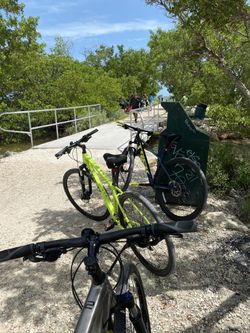 2 Trek Bikes