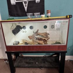 Reptile Tank