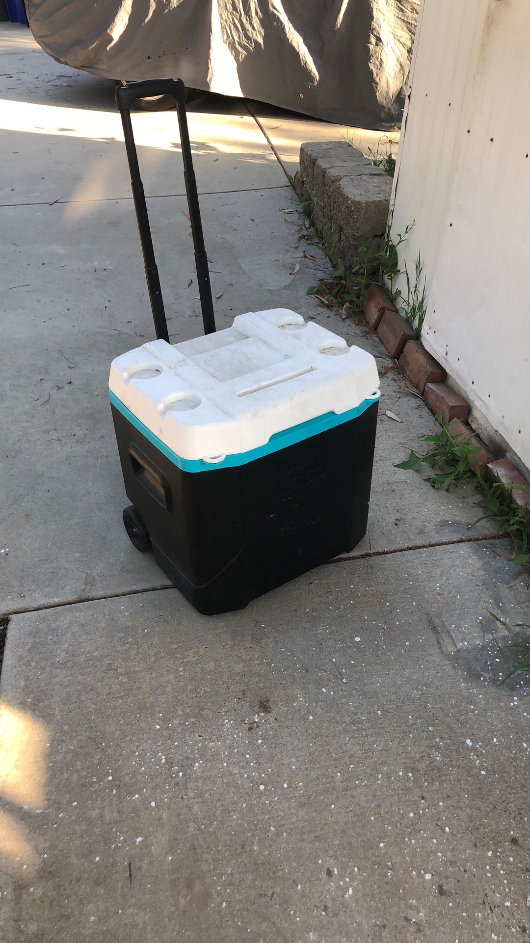 Big Igloo cooler
