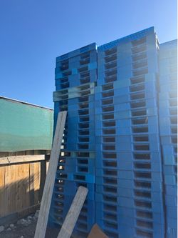Pallets (Blue Plastic)