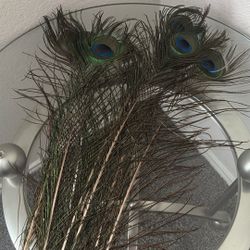 Real Peacock Feathers Craft Home Decor Good Luck