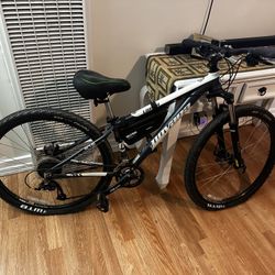 Novara Hickory Mountain Bike 