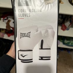 Everlast Boxing gloves