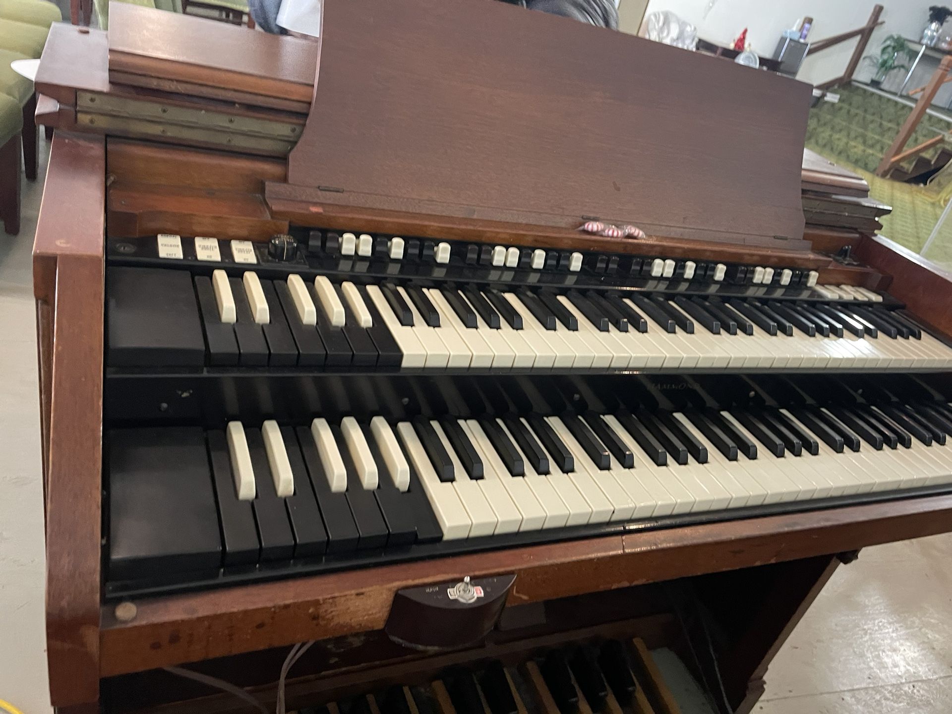 Organ