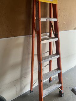 6 Foot Ladder