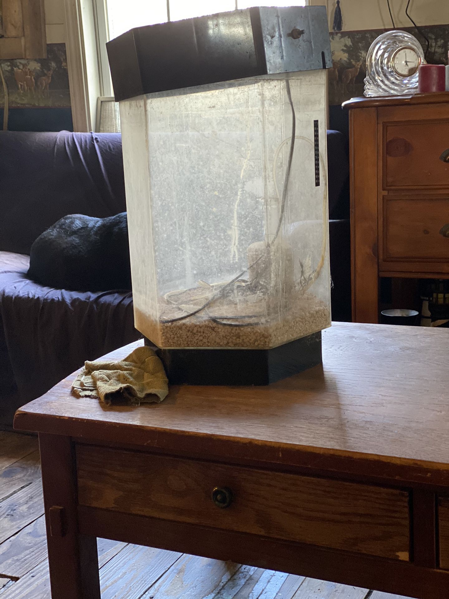 Have 2 octagon and 1 square fish tanks