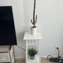 Plant Stand