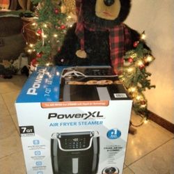 Brand New XL Air Fryer Airfryer AND Steamer, Never Taken Out Of Box