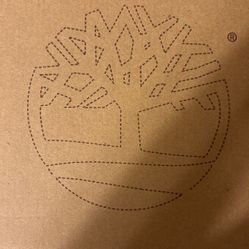Ugg Boots Toddler Boys