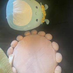 Squish mellow and flower pillow