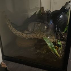 Reptile Tank 