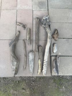 Drift Wood 