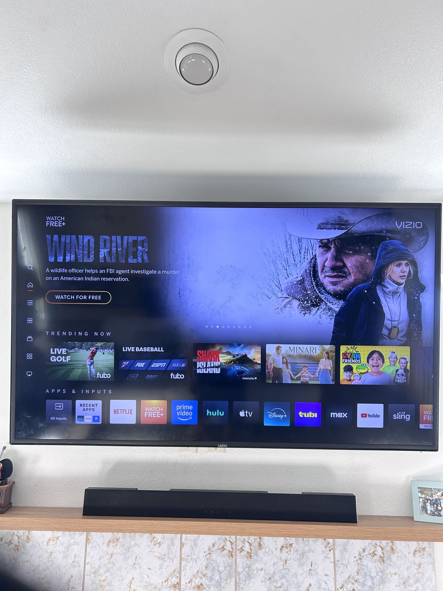 Vizio 65 Inch TV