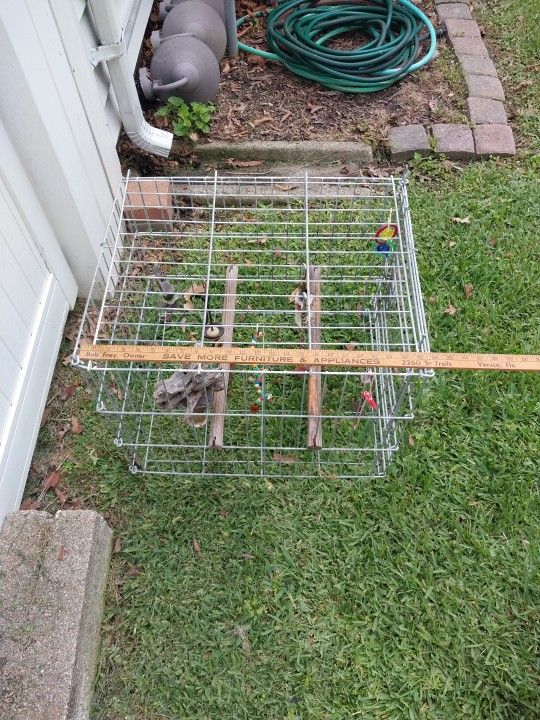 PET CARRIER