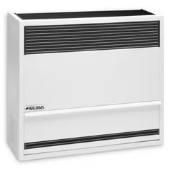 Williams Direct-Vent Gravity Wall Heater 30,000 BTUH Natural Gas