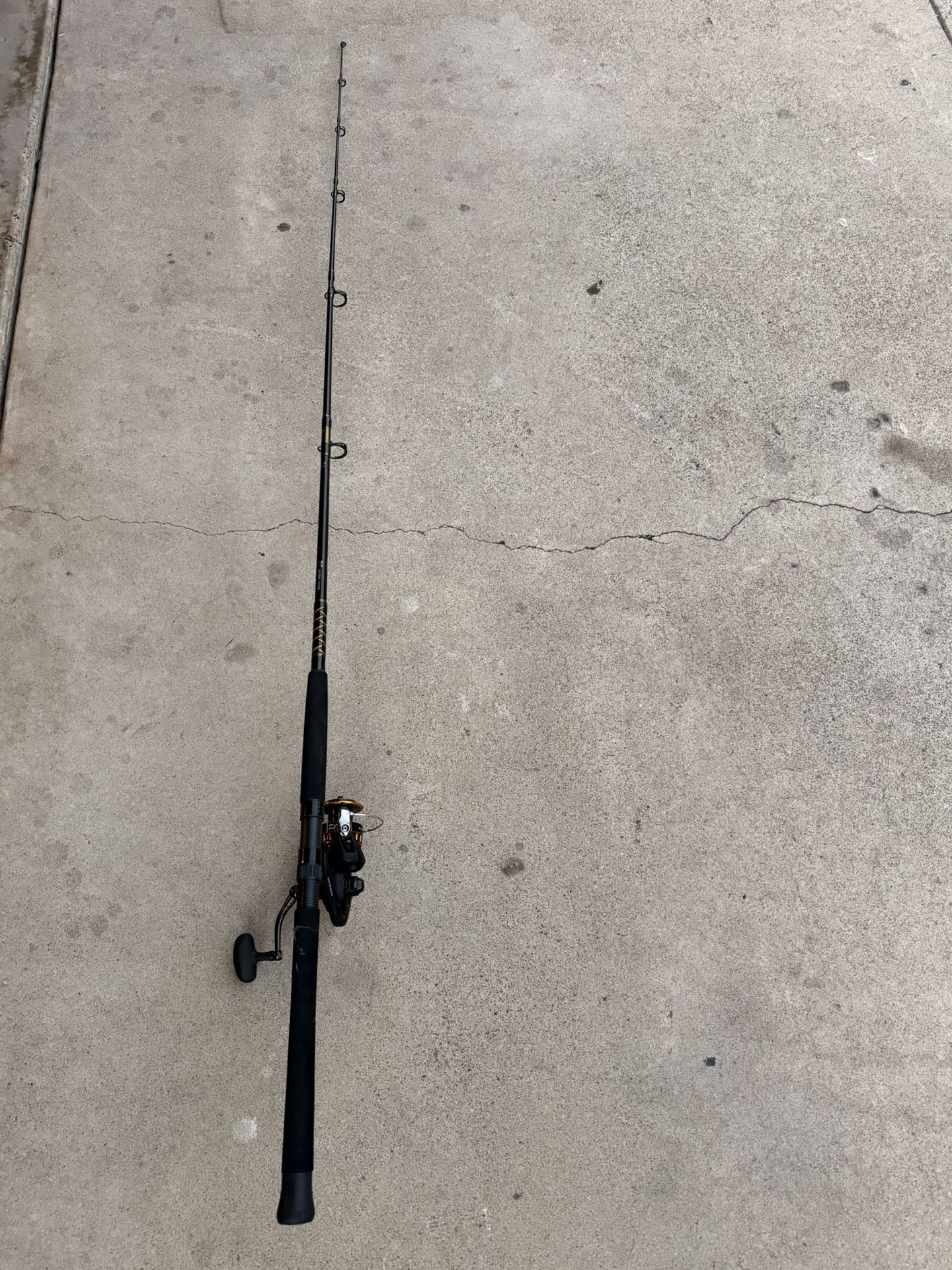Brand New- Daiwa BG Surf Spinning Combo