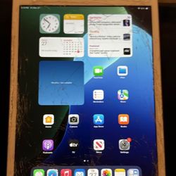 iPad - Cellular 
