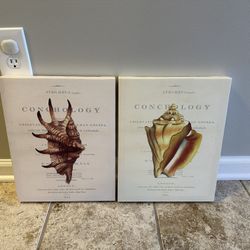 Set of 2 Canvas Prints - Conchology