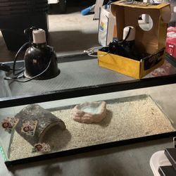 Reptile Tank + Accessories 