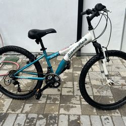 Bicycle Diamond Back Tess 24