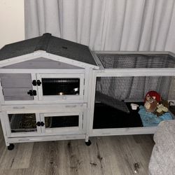 Bunny Cage