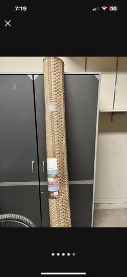 Brand New Area Rug Indoor/outdoor 