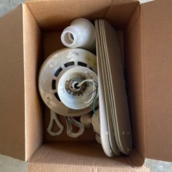 Ceiling Fan With Lights